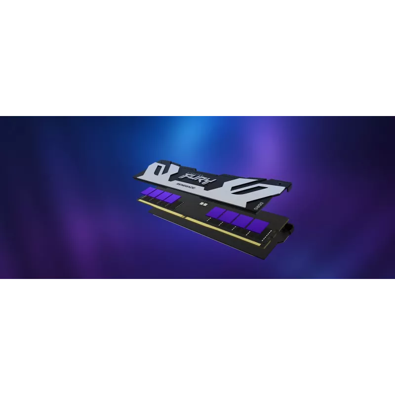 Kingston Technology FURY 16GB 6400MT/s DDR5 CL32 DIMM Renegade Silver