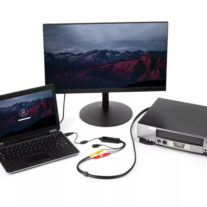 StarTech.com USB Video Capture adapterkaabel - S-Video/Composite to USB 2.0 SD Video Capture Device kaabel - TWAIN Support - Analog to Digital Converter for Media Storage - Windows Only