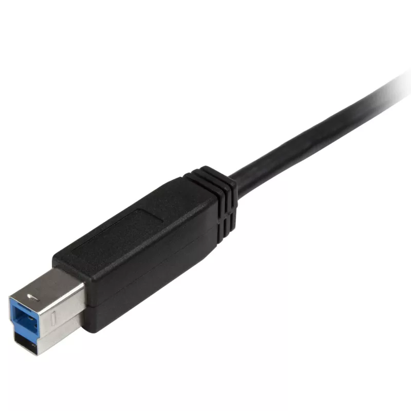 StarTech.com USB-C - USB-B kaabel - M/M - 2 m (6 jalga) - USB 3.0