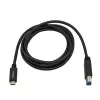 StarTech.com USB-C - USB-B kaabel - M/M - 2 m (6 jalga) - USB 3.0