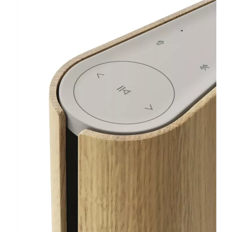Kaasaskantav kõlar Bang & Olufsen Beosound Emerge Pruun