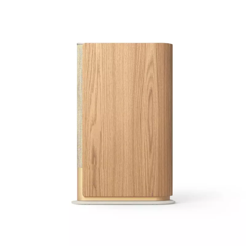 Kaasaskantav kõlar Bang & Olufsen Beosound Emerge Pruun