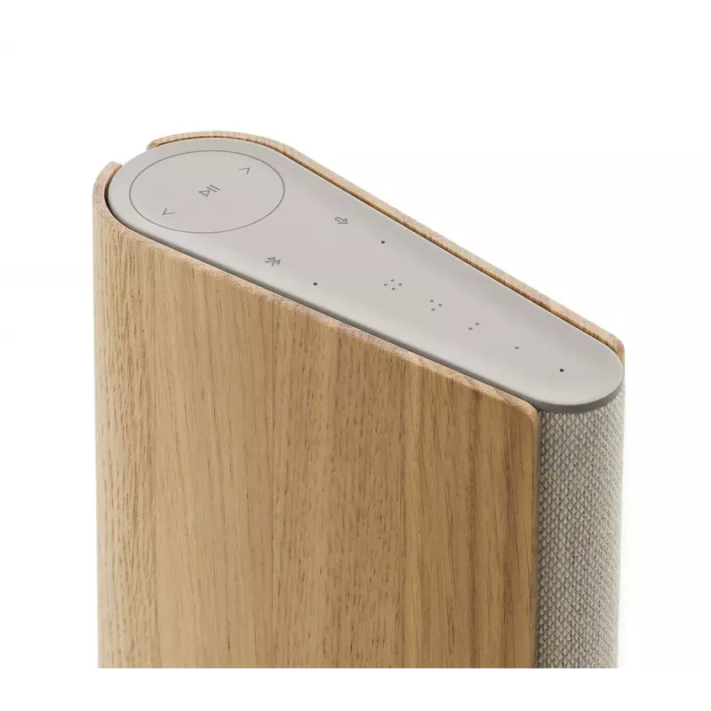 Kaasaskantav kõlar Bang & Olufsen Beosound Emerge Pruun