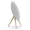 Kõlarid Bang & Olufsen BeoSound A9 1500 W