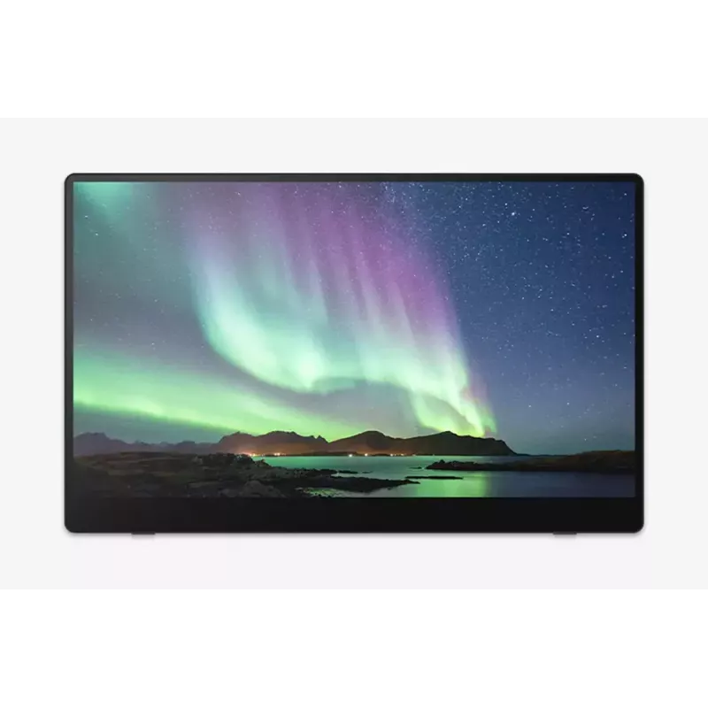 Kaasaskantav monitor Ricoh Portable Monitor 150 15,6-tolline LED 1920 x 1080