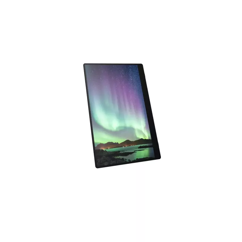 Kaasaskantav monitor Ricoh Portable Monitor 150BW 15,6-tolline LED 1920 x 1080
