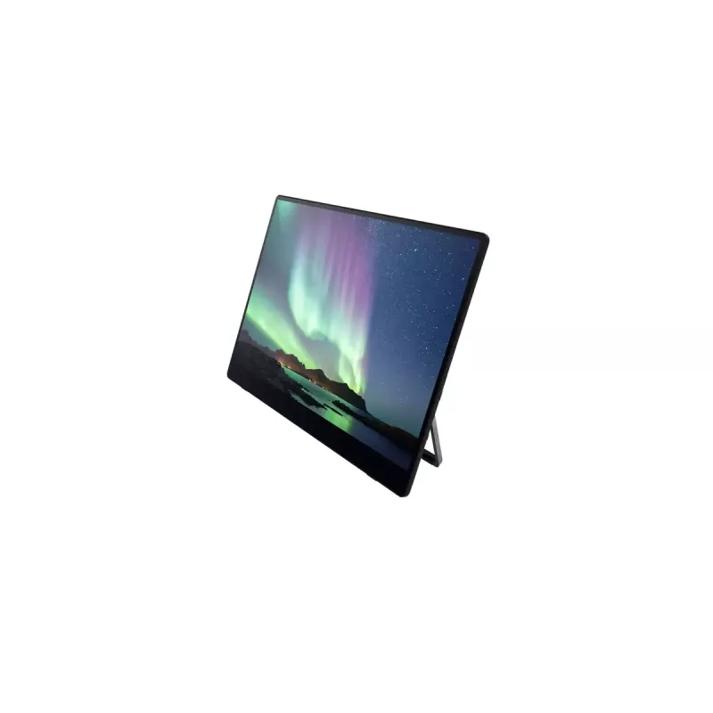 Kaasaskantav monitor Ricoh Portable Monitor 150BW 15,6-tolline LED 1920 x 1080