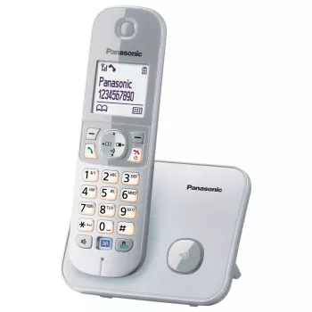 DECT-telefon Panasonic KX-TG6811GS