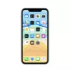 Ekraanikaitse Belkin SCREENFORCE iPhone 11 iPhone XR
