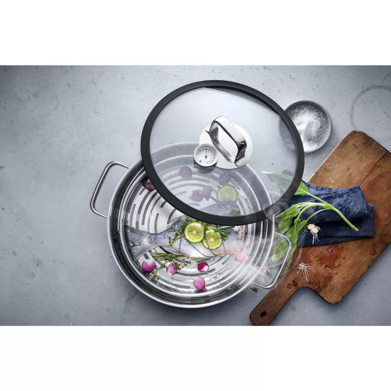 Aurutaja WMF Vitalis 1743016040 5 L roostevaba teras