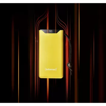 Akupank Intenso 7332039 10000 mAh