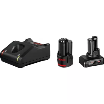 Bosch 1 x GBA 12V 2,0 Ah + 1 x GBA 12V 4,0 Ah + GAL 12V-40 Professional akulaadija majapidamisaku vahelduvvool