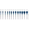 Bosch 2 608 900 336 puuritera Labidapuur 13 tk