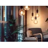 Nutipirn Philips 1-pakendis G93 E27 Filament