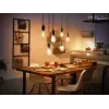 Nutipirn Philips 1-pakendis G93 E27 Filament