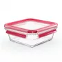 EMSA CLIP & CLOSE N10414 kandiline karp 0,8 L läbipaistev 1 tk