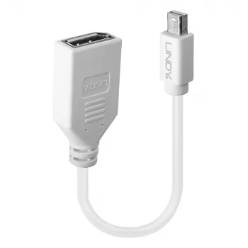 Lindy 0,20 m Mini DisplayPort-DisplayPort-adapterkaabel, 0,15 m, Mini DisplayPort, DisplayPort, isane, emane, valge