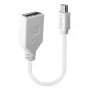 Lindy 0,20 m Mini DisplayPort-DisplayPort-adapterkaabel, 0,15 m, Mini DisplayPort, DisplayPort, isane, emane, valge