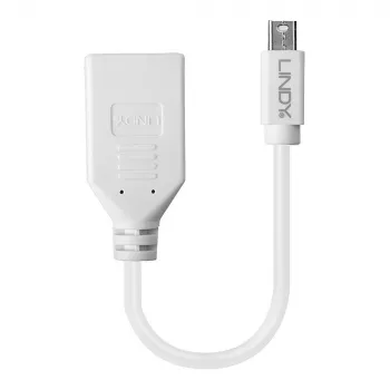 Lindy 0,20 m Mini DisplayPort-DisplayPort-adapterkaabel, 0,15 m, Mini DisplayPort, DisplayPort, isane, emane, valge