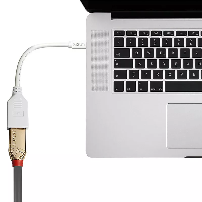 Lindy 0,20 m Mini DisplayPort-DisplayPort-adapterkaabel, 0,15 m, Mini DisplayPort, DisplayPort, isane, emane, valge