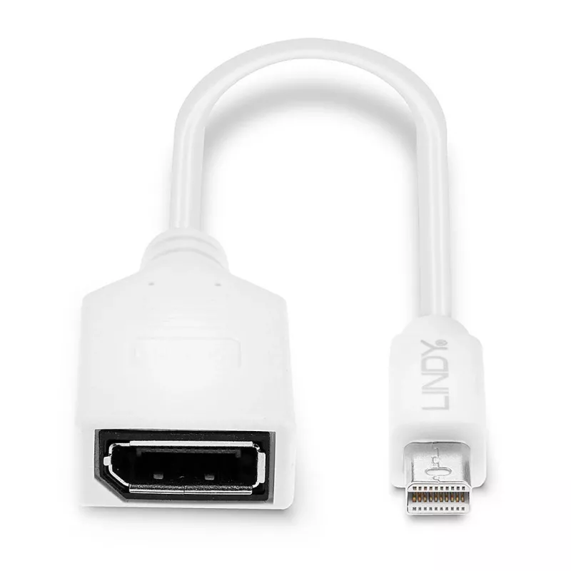 Lindy 0,20 m Mini DisplayPort-DisplayPort-adapterkaabel, 0,15 m, Mini DisplayPort, DisplayPort, isane, emane, valge