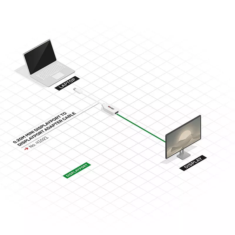Lindy 0,20 m Mini DisplayPort-DisplayPort-adapterkaabel, 0,15 m, Mini DisplayPort, DisplayPort, isane, emane, valge
