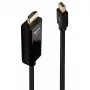Lindy 1m Mini DisplayPort HDMI-kaablile 10,2 G