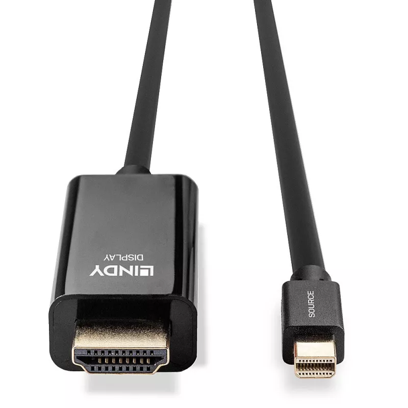 Lindy 1m Mini DisplayPort HDMI-kaablile 10,2 G