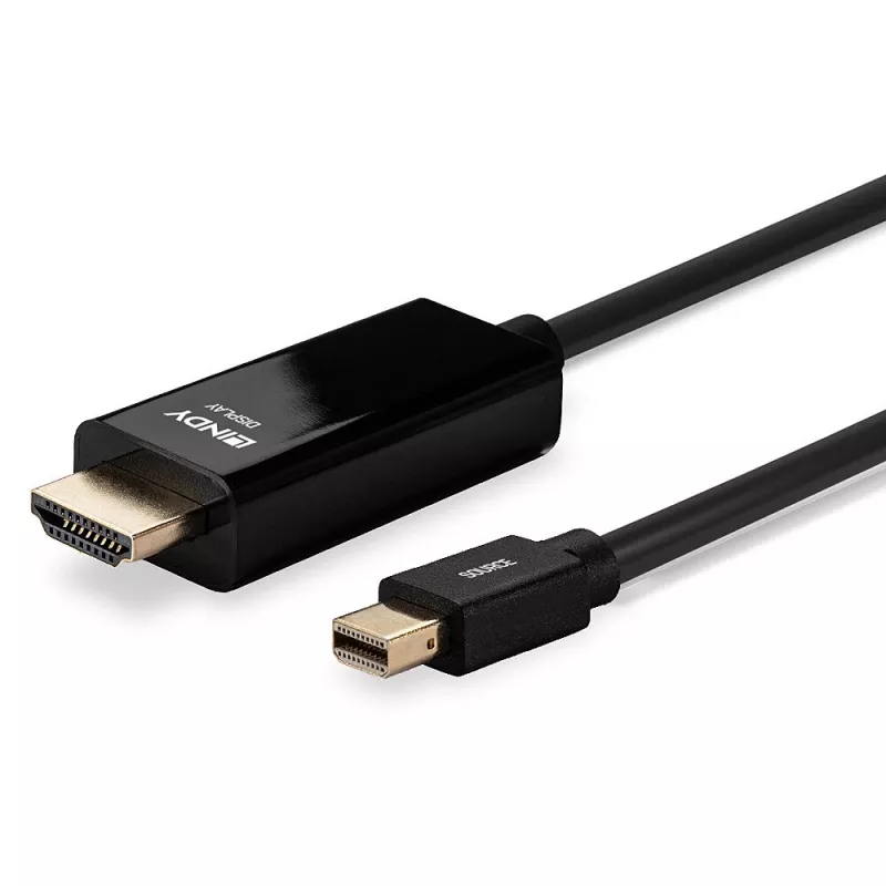 Lindy 1m Mini DisplayPort HDMI-kaablile 10,2 G