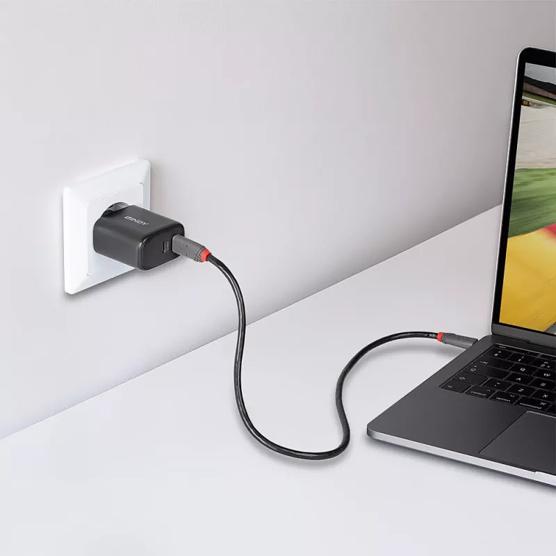Lindy 65W USB 2 x Type C GaN laadija 73438