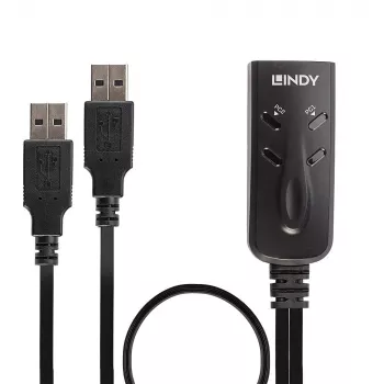 Lindy 2-pordiline USB KM-lüliti