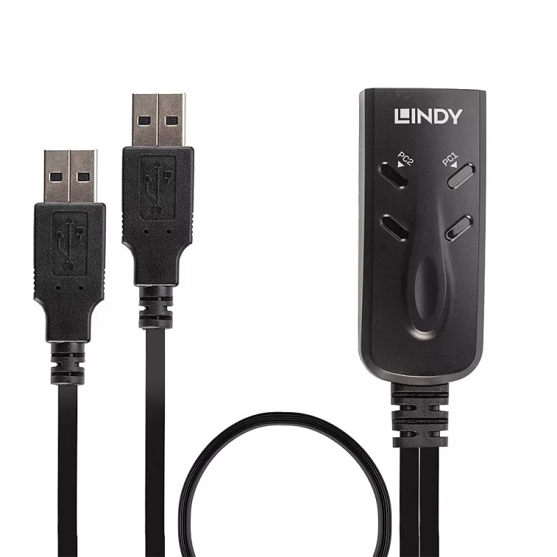 Lindy 2-pordiline USB KM-lüliti