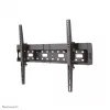 Neomounts LFD-W2640MP teleri seinakinnitus 37-75 tolli - kallutatav