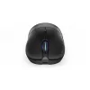 Hiir ENDORFY GEM Plus Wireless RF juhtmevaba + USB USB-C