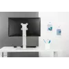 Neomounts FPMA-D890Valge monitorijalg 10-30 inch, vabaltseisev, 6 kg, 25,4 cm (10 inch), 76,2 cm (30 inch), 100 x 100 mm, valge