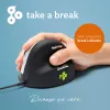 R-Go Tools Ergonomic hiir R-Go HE Break with break software, medium (hand size 165-185 mm), right-handed, Wired, Must