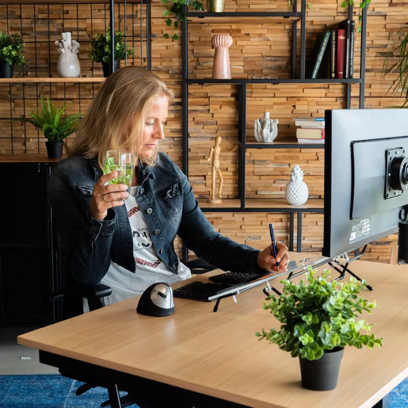 R-Go Tools Dokumendihoidja R-Go Flex Read, ergonoomiline, pehme poroloonist randmetoega, läbipaistev akrüül