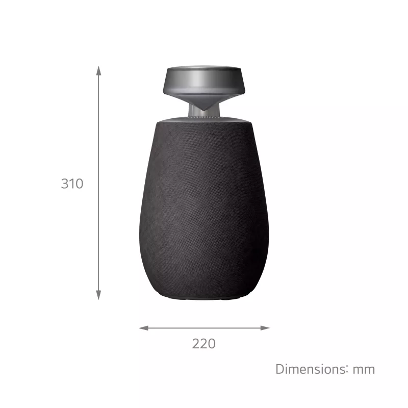 LG XBOOM 360 Mono kaasaskantav kõlar Must 20 W