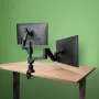 R-Go Tools Monitor arm R-Go Caparo Dual, for two monitors, adjustable with gas spring, 3-9 kg load capacity, 100% circular, Must