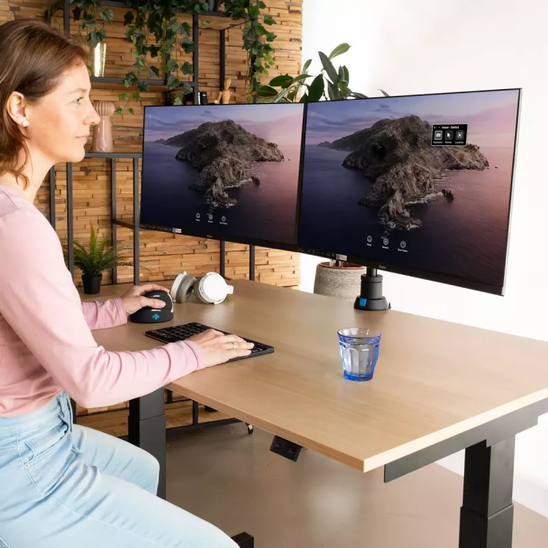 R-Go Tools Monitor arm R-Go Caparo Dual, for two monitors, adjustable with gas spring, 3-9 kg load capacity, 100% circular, Must
