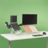 R-Go Tools R-Go Morelia dokumendihoidik, moodul koos Caparo ja Zepher monitorialusega