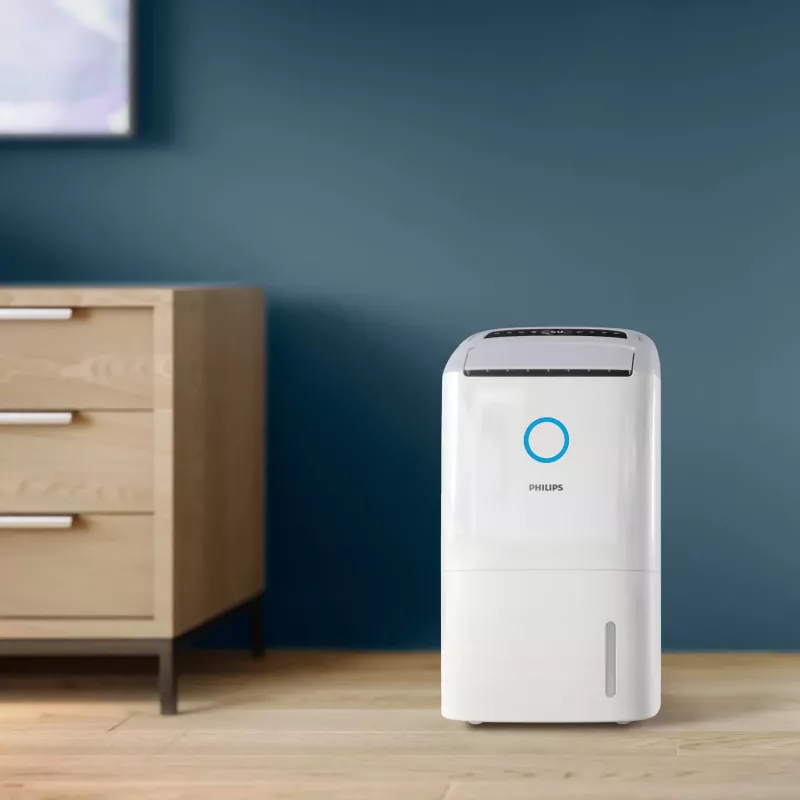 Philips 5000 seeria DE5305/11 õhukuivati 4 L 54 dB valge