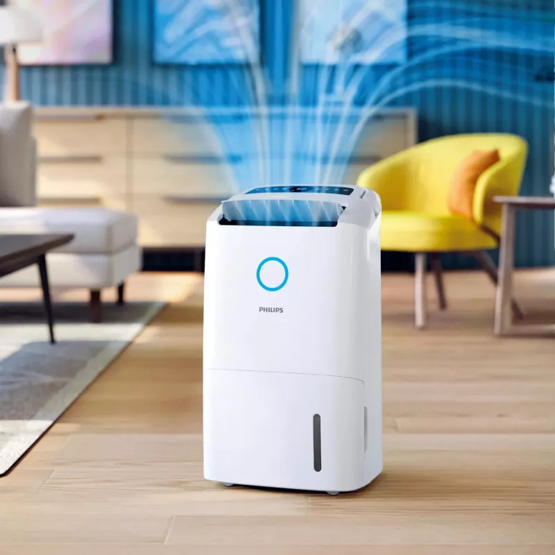 Philips 5000 seeria DE5305/11 õhukuivati 4 L 54 dB valge