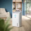 Philips 5000 seeria DE5305/11 õhukuivati 4 L 54 dB valge