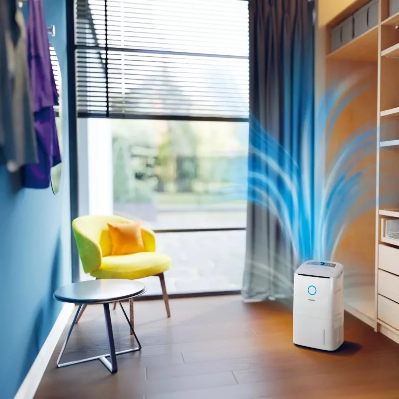 Philips 5000 seeria DE5305/11 õhukuivati 4 L 54 dB valge