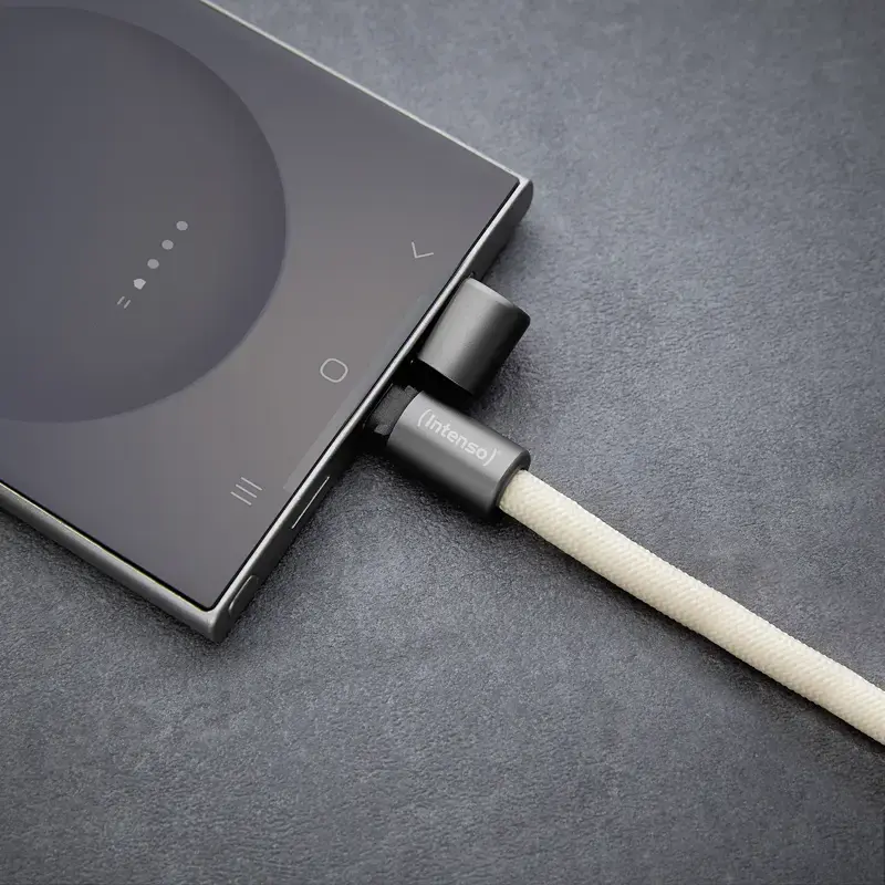 USB-kaabel Intenso Handykette 1,65 m USB-C beež