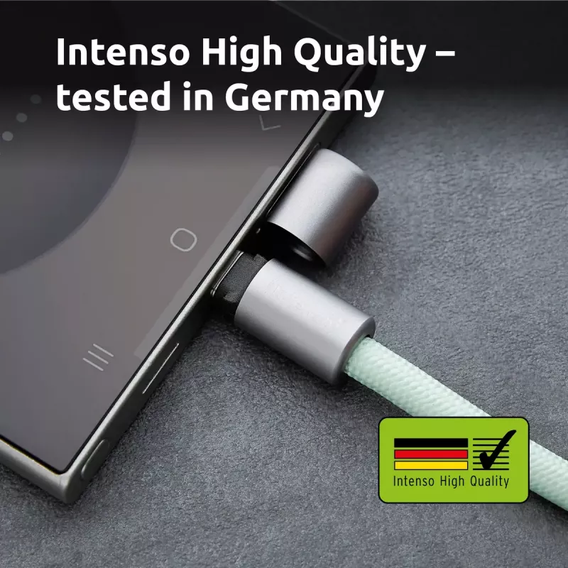 Intenso USB-C laadimisrihm telefoni kaelapaela kaabel 60 W kiirlaadimine reguleeritava pikkusega 1.65 m nailon roheline