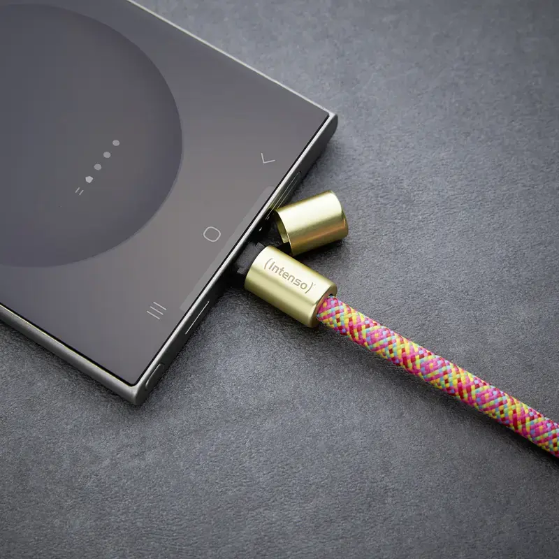 Intenso USB-C laadimisrihm telefoni kaelapaelakaabel 60W kiirlaadimine reguleeritava pikkusega 1,65m nailon mitmevärviline