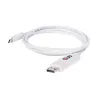 CLUB3D USB 3.1 Type C kaabel DisplayPort 1.2 UHD adapterile