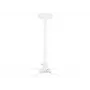 Multibrackets M Universal Projector Ceiling Mount 900-1600 with Finetune